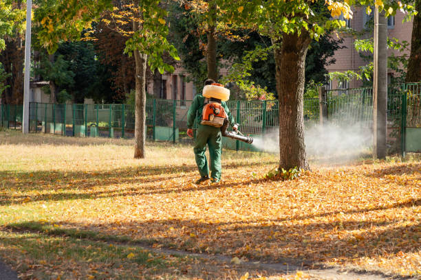 Professional Pest Control in Mariemont, OH